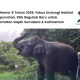 inpres-nomor-8-tahun-2026:-regulasi-baru-penyelamatan-gajah-sumatera-dan-kalimantan 