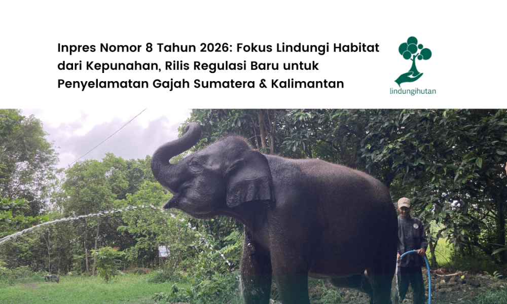 inpres-nomor-8-tahun-2026:-regulasi-baru-penyelamatan-gajah-sumatera-dan-kalimantan
