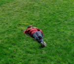 orang-orang-mencari-cara-menyentuh-rumput-di-google