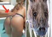 it’ll-take-way-too-long-for-these-23-photos-to-make-sense-until-finally-it-clicks