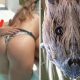 It’ll Take Way Too Long For These 23 Photos To Make Sense Until Finally It Clicks