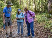 reminder:-dont-use-google-maps-for-hiking
