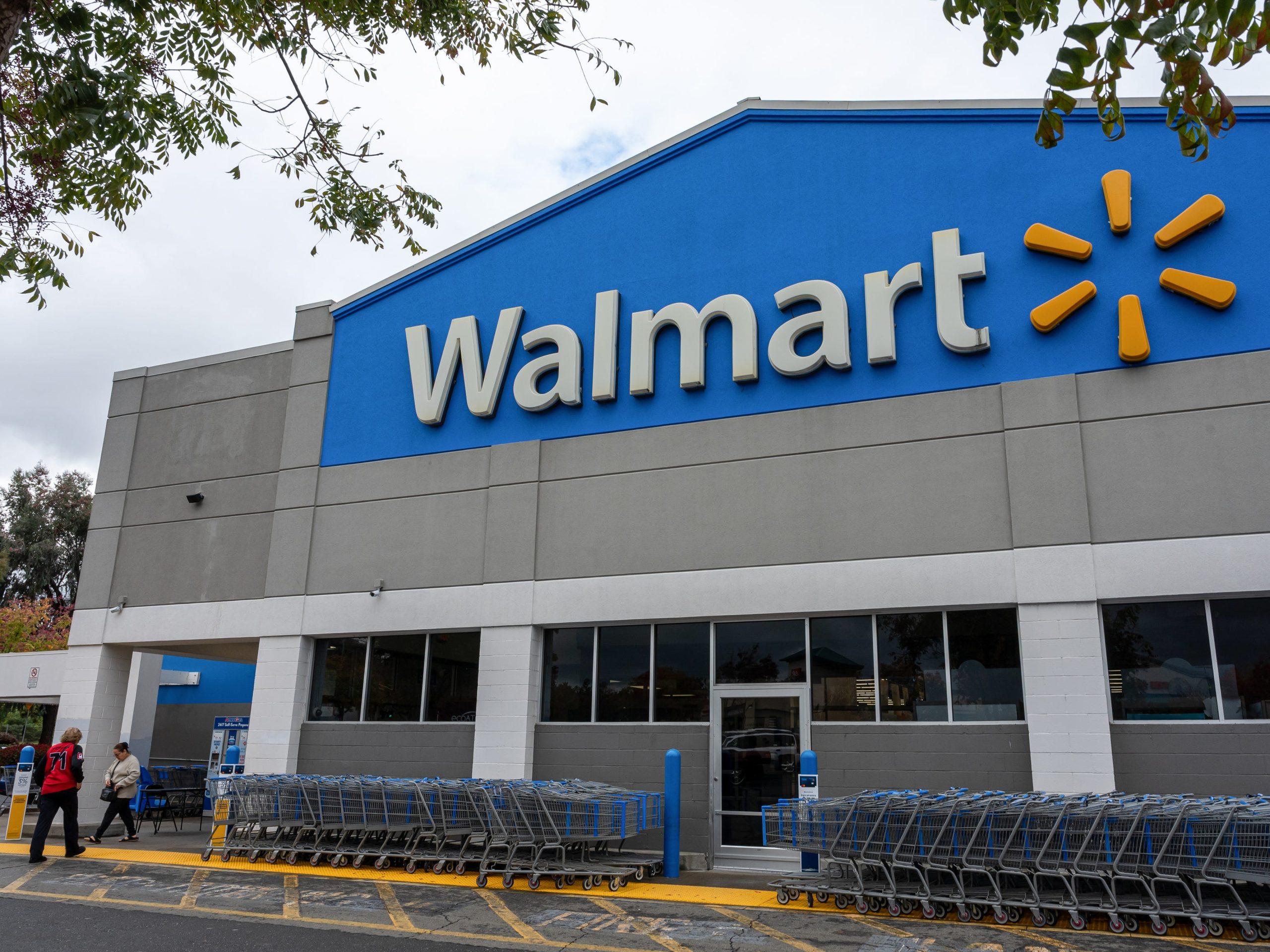 the-creator-of-walmart’s-vibe-coding-tool-code-puppy-is-leaving-for-ai-startup-pydantic