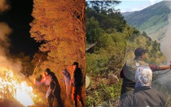 Mau Liburan ke Bromo? Cek Dulu Jalur yang Ditutup Akibat Kebakaran Hutan