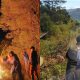 mau-liburan-ke-bromo?-cek-dulu-jalur-yang-ditutup-akibat-kebakaran-hutan