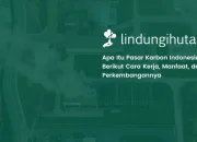 mengenal-pasar-karbon-indonesia:-pengertian,-cara-kerja,-dan-perkembangannya