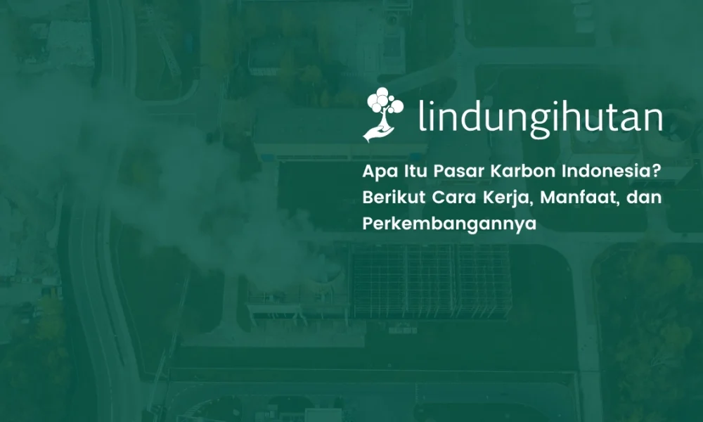 mengenal-pasar-karbon-indonesia:-pengertian,-cara-kerja,-dan-perkembangannya