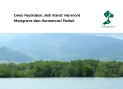 profil-desa-pejarakan,-bali-barat:-harmoni-mangrove-dan-konservasi-pesisir