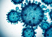 Scientists Used AI to Create 16 New Viruses