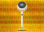 Our Favorite Fans Are on Sale to Help With Summer Heat Waves (2026)