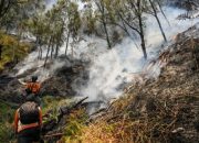 karhutla-meluas-di-kaldera-bromo,-semua-akses-wisata-ditutup-total