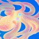 why-each-octopus-arm-has-a-mind-of-its-own