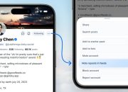 bluesky-now-lets-you-hide-reposts-from-that-annoying-person-you-follow