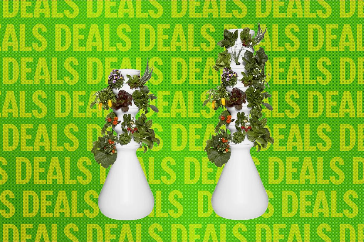 the-best-way-to-avoid-diarrhea-lettuce?-this-indoor-garden