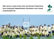 pt-pertamina-hulu-indonesia-tanam-500-lamun-di-pulau-pari-kepulauan-seribu