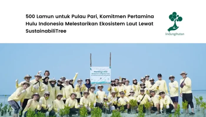 PT Pertamina Hulu Indonesia Tanam 500 Lamun di Pulau Pari Kepulauan Seribu