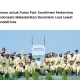 pt-pertamina-hulu-indonesia-tanam-500-lamun-di-pulau-pari-kepulauan-seribu