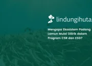 padang-lamun:-potensi-karbon-untuk-mendukung-strategi-keberlanjutan-perusahaan