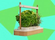 auk-mini-2-indoor-smart-garden-review:-better-where-it-counts
