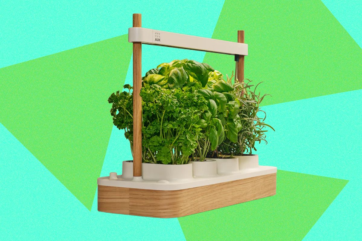 auk-mini-2-indoor-smart-garden-review:-better-where-it-counts
