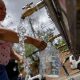 puerto-rico-is-rationing-water.-it-could’ve-avoided-it-by-harvesting-rainwater