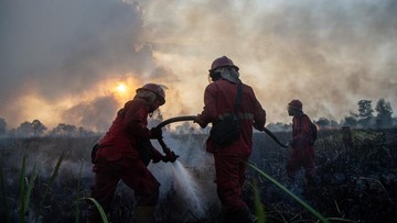antisipasi-karhutla,-kemenhut-deteksi-73-titik-panas-di-kalsel