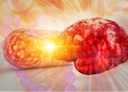 There’s a New Link Between Gut Health and Alzheimer’s Disease