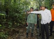 anak-buah-raja-juli-diperiksa-di-kasus-korupsi-transfer-pricing-pt-tpl