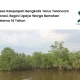 mengenal-desa-kelapapati,-bengkalis,-riau-yang-terancam-abrasi