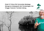 rio-fernandes,-penggerak-di-balik-rimbunnya-14-hektare-mangrove-di-desa-kelapapati,-bengkalis