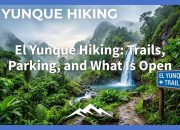el-yunque-hiking:-trails,-parking,-and-what-is-open