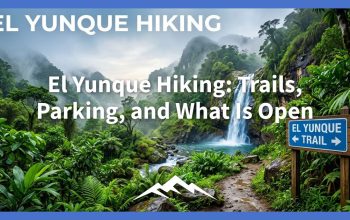 El Yunque Hiking: Trails, Parking, and What Is Open