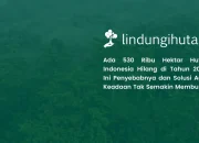 gawat!-530-ribu-hektar-hutan-indonesia-hilang:-penyebab-dan-solusinya