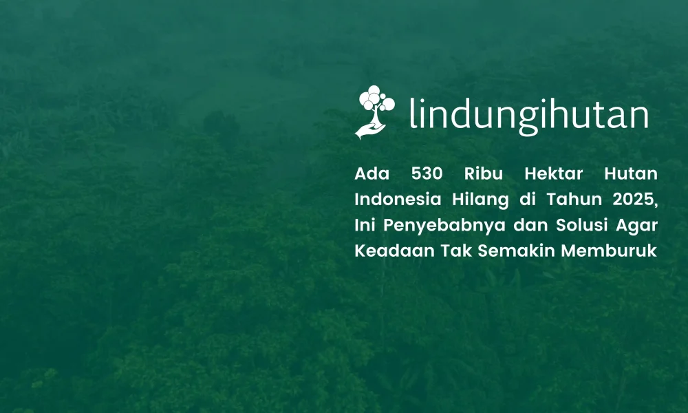 gawat!-530-ribu-hektar-hutan-indonesia-hilang:-penyebab-dan-solusinya