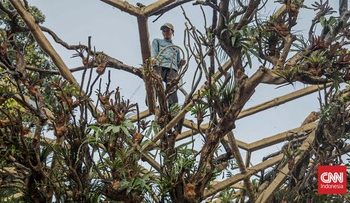FOTO: Bersiap Menyambut Pameran Flona 2026 di Lapangan Banteng