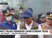 VIDEO: Menhut: Pelaku Pembakar Lahan Ditindak Tegas