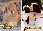 22-feel-good-fun-facts-that-will-change-the-way-you-think-about-life-on-earth