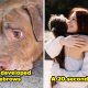 22 Feel-Good Fun Facts That Will Change The Way You Think About Life On Earth