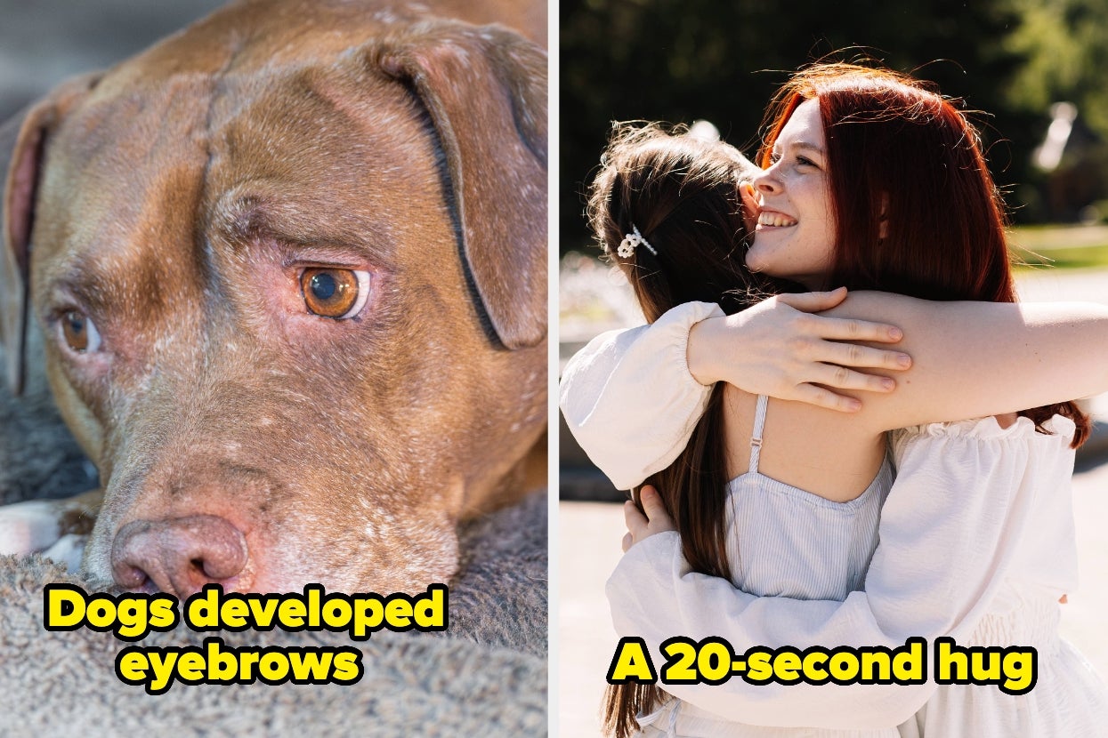 22-feel-good-fun-facts-that-will-change-the-way-you-think-about-life-on-earth