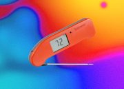 the-best-kitchen-gadget-to-prevent-salmonella-is-a-good-meat-probe