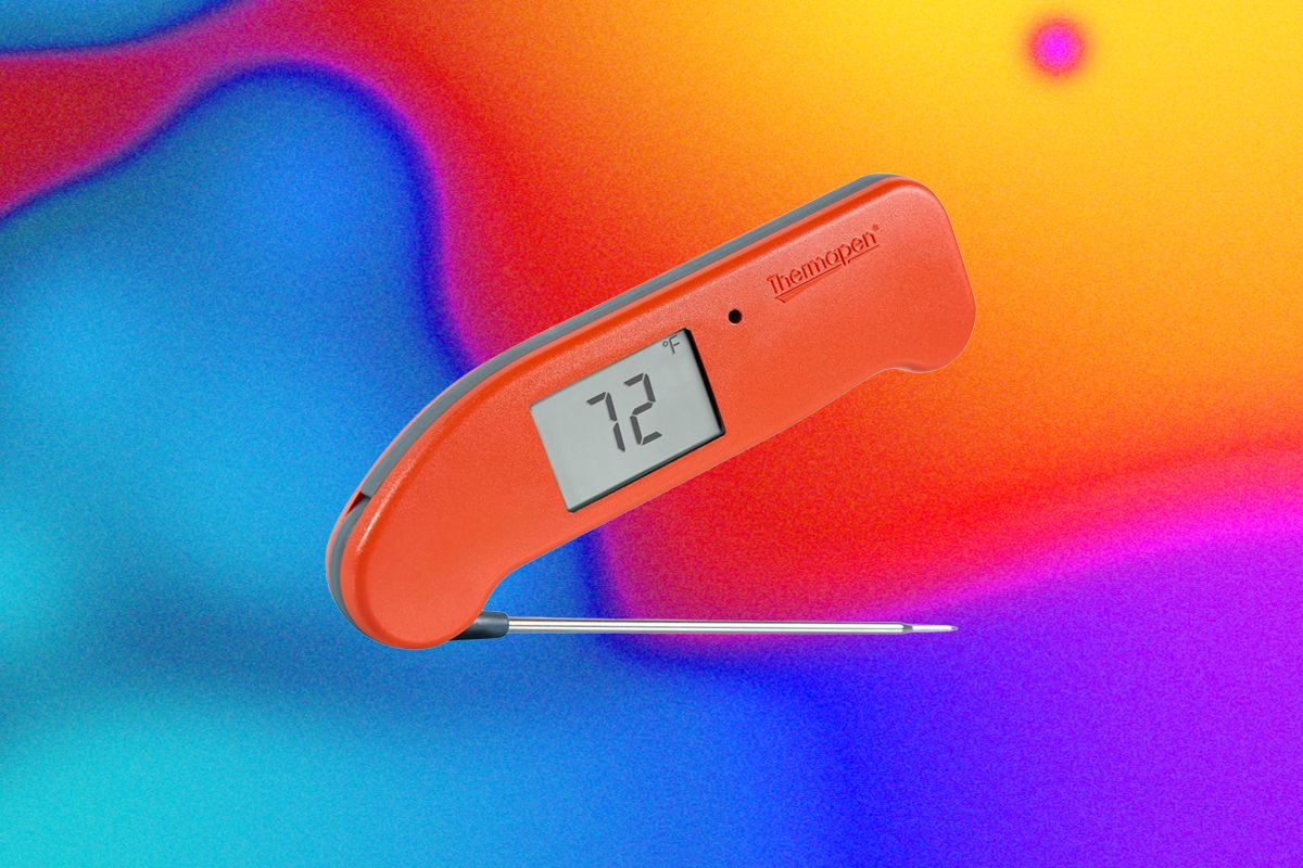 the-best-kitchen-gadget-to-prevent-salmonella-is-a-good-meat-probe