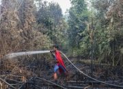 foto:-semangat-pantang-menyerah-remaja-‘superman’-lawan-karhutla