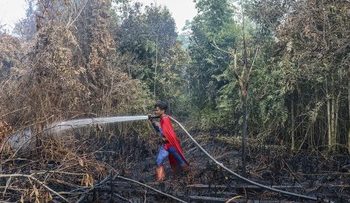 FOTO:  Semangat Pantang Menyerah Remaja ‘Superman’ Lawan Karhutla