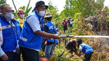 menteri-lh-tinjau-karhutla-di-kalsel,-pastikan-pelaku-ditindak-tegas