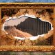 border-wall-construction-threatens-6,000-years-of-history-on-private-lands