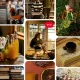 pinterest-hobbies-report-highlights-diy-and-vintage