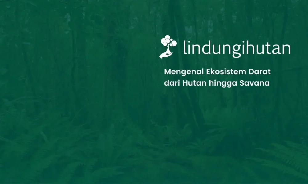 ekosistem-darat:-pengertian,-ciri,-jenis,-contoh,-dan-manfaat