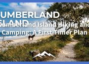 cumberland-island-hiking-and-camping:-a-first-timer-plan