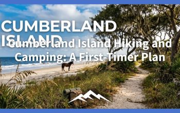 Cumberland Island Hiking and Camping: A First-Timer Plan
