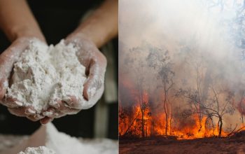 Mitos vs Fakta: Benarkah Tepung Bisa Memadamkan Api?